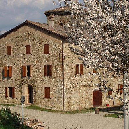 Agriturismo Ca' Bertu' Zappolino Exterior photo