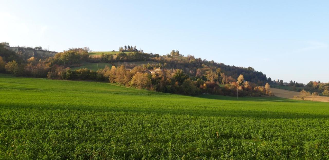 Agriturismo Ca' Bertu' Zappolino Exterior photo